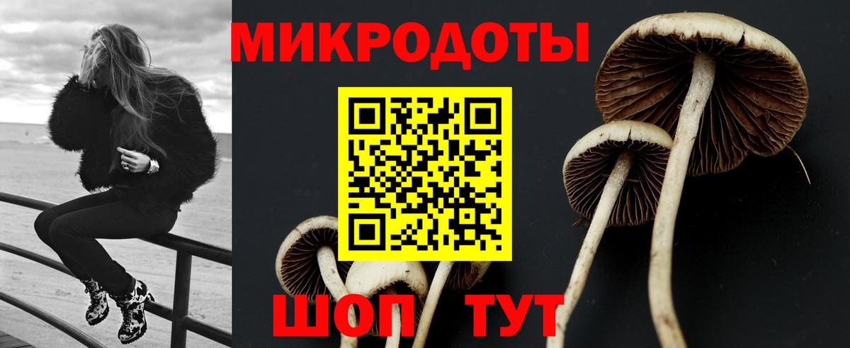 Псилоцибиновые грибы MAGIC MUSHROOMS Нарткала
